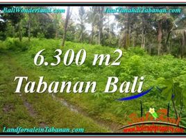  Land for sale in Selemadeg, Tabanan, Selemadeg