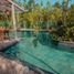 2 Bedroom Apartment for rent in Cozumel, Quintana Roo, Cozumel, Quintana Roo