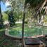 1 Bedroom Quinta for sale in Motul, Yucatan, Motul, Yucatan, Mexico