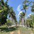 1 Bedroom Quinta for sale in Motul, Yucatan, Motul, Yucatan, Mexico