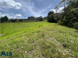  Terreno (Parcela) en venta en La Ceja, Antioquia, La Ceja