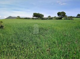  Terreno (Parcela) en venta en Zempoala, Hidalgo, Zempoala