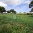  Terreno (Parcela) en venta en Zempoala, Hidalgo, Zempoala