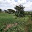  Terreno (Parcela) en venta en Zempoala, Hidalgo, Zempoala