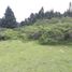 Terrain à vendre à Pachuca De Soto, Hidalgo, Pachuca De Soto
