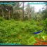  Land for sale in Selemadeg, Tabanan, Selemadeg