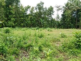  Land for sale in Gamping, Sleman, Gamping