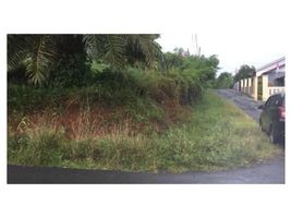  Tanah for sale in Bengkulu, Selebar, Bengkulu, Bengkulu