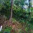  Land for sale in San Cristobal De Las Casas, Chiapas, San Cristobal De Las Casas, Chiapas