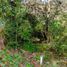  Land for sale in San Cristobal De Las Casas, Chiapas, San Cristobal De Las Casas, Chiapas