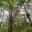  Land for sale in San Cristobal De Las Casas, Chiapas, San Cristobal De Las Casas, Chiapas
