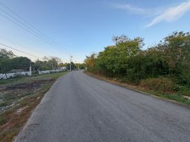 在Mococha, Yucatan出售的 土地, Mococha