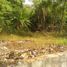  Terreno (Parcela) en venta en Seyegan, Yogyakarta, Seyegan
