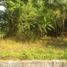  Terreno (Parcela) en venta en Seyegan, Yogyakarta, Seyegan