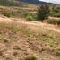  Land for sale in Del Centro, Oaxaca, Del Centro