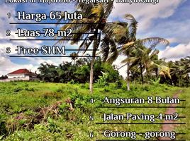  Land for sale in Banyuwangi, East Jawa, Gambiran, Banyuwangi