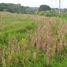  Land for sale in Selemadeg, Tabanan, Selemadeg