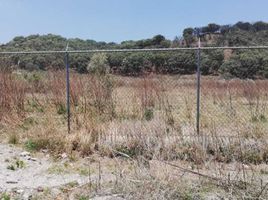  Land for sale in Zapopan, Jalisco, Zapopan, Jalisco