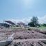 3 Habitación Casa en venta en Kalasan, Yogyakarta, Kalasan, Sleman, Yogyakarta