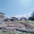 3 Habitación Casa en venta en Kalasan, Yogyakarta, Kalasan, Sleman, Yogyakarta