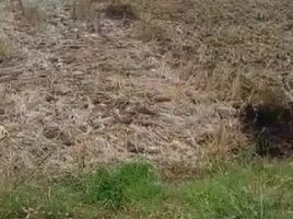  Grundstück zu verkaufen in Gresik, East Jawa, Gresik, Gresik