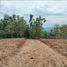  Land for sale in Pengasih, Kulon Progo, Pengasih