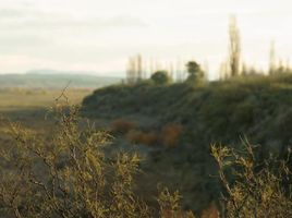  Casa en venta en San Rafael, Mendoza, San Rafael