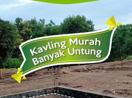  Land for sale in South Sulawesi, Duampanua, Pinrang, South Sulawesi