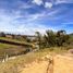  Terrain for sale in El Carmen De Viboral, Antioquia, El Carmen De Viboral