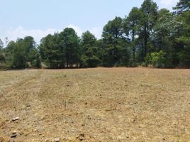  Land for sale in Donato Guerra, Mexico, Donato Guerra