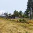  Land for sale in Donato Guerra, Mexico, Donato Guerra