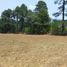  Land for sale in Donato Guerra, Mexico, Donato Guerra