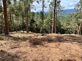  Terreno (Parcela) en venta en La Ceja, Antioquia, La Ceja