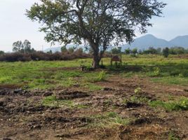  Terreno (Parcela) en venta en Antonio Escobedo, Jalisco, Antonio Escobedo