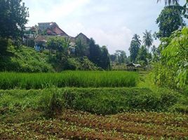  Tanah for sale in Sukabumi, West Jawa, Sukabumi, Sukabumi