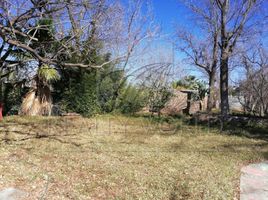  Terrain for sale in Coahuila, General Cepeda, Coahuila