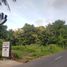  Land for sale in Klungkung, Bali, Nusa Penida, Klungkung