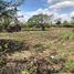  Terreno (Parcela) en venta en Zapotlanejo, Jalisco, Zapotlanejo