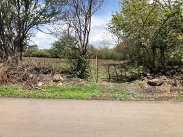  Terreno (Parcela) en venta en Zapotlanejo, Jalisco, Zapotlanejo