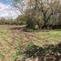  Terreno (Parcela) en venta en Zapotlanejo, Jalisco, Zapotlanejo