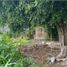  Land for sale in Temixco, Morelos, Temixco