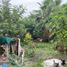  Land for sale in Temixco, Morelos, Temixco