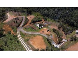  Grundstück zu verkaufen in Guarne, Antioquia, Guarne, Antioquia