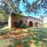 3 Bedroom Villa for sale in Las Lomas, David, Las Lomas