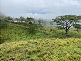 Estudio Villa en venta en Colombia, La Tebaida, Quindio, Colombia