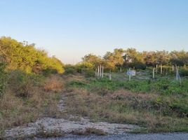  Terrain for sale in Celestun, Yucatan, Celestun