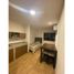 8 Schlafzimmer Appartement zu verkaufen in Santa Catarina, Nuevo Leon, Santa Catarina