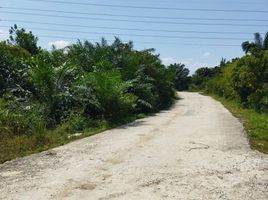  Terrain for sale in Selangor, Sepang, Sepang, Selangor