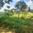  Land for sale in Lembang, West Jawa, Lembang, Bandung