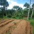  Land for sale in Lembang, West Jawa, Lembang, Bandung
